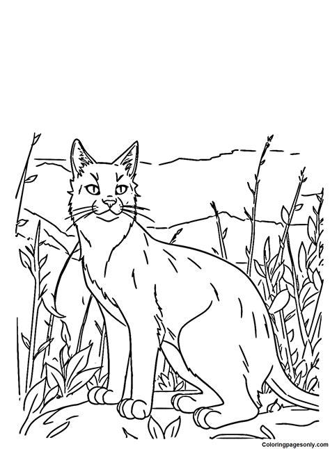 Warrior Cats Coloring Pages Free Printable Adventures For Kids And