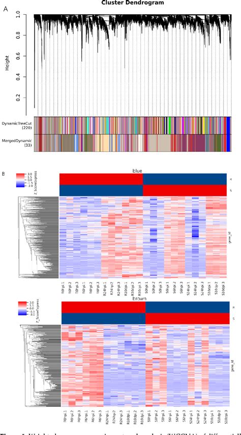 Figure 9 From Rna Seq And Comparative Transcriptomic Analyses Of Asian