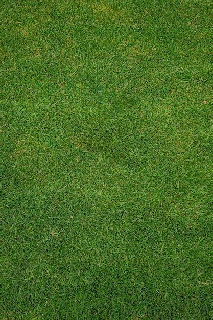 Premium Photo Football Field Grass Texture Green Lawn Natural Background