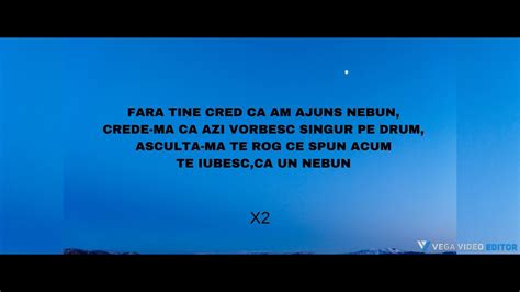 Lele Fara Tine Cred Ca Am Ajuns Nebun Versuri Youtube