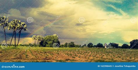 Stormy Day, Oshana Region, Namibia. Stock Image - Image of village ...