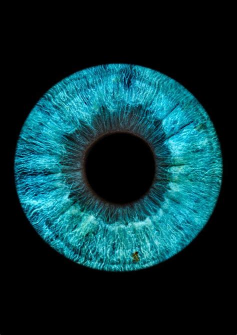 Macro Photography Eyes Photography Wall Art Blue Eyes Aesthetic Iris