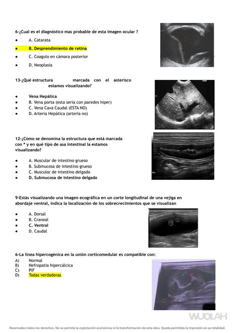 SOLUTION Recopilacion Casos Diagn Stico Por Imagen Studypool