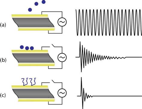 Schematic Representation Of The Principle Of Qcm D A The Oscillation