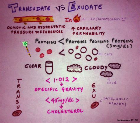 Medicowesome: Exudate & Transudate