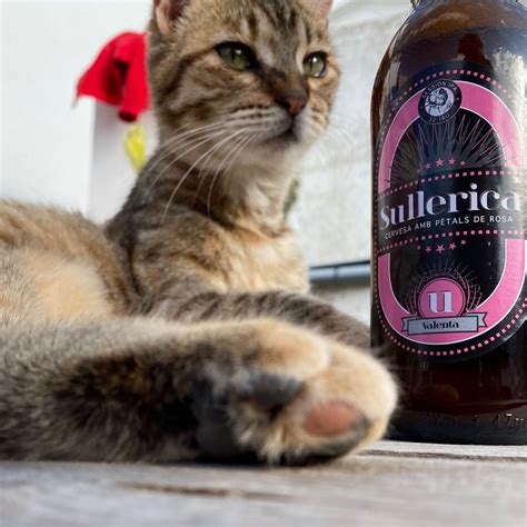 Sullerica Cerveza Sullerica Valenta Reviews Abillion