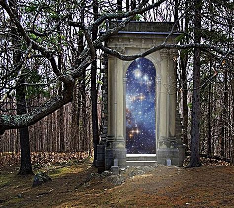 Portal To The Stars Mystical Forest Spirit World The Heroes Of