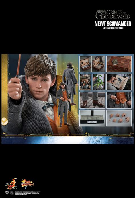 Fantastic Beasts The Crimes Of Grindelwald Newt Scamander Movie Masterpiece 1 6 Hot Toys