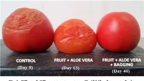 Pdf Effect Of Aloe Vera Gel Coating And Bagging Of Fruits In