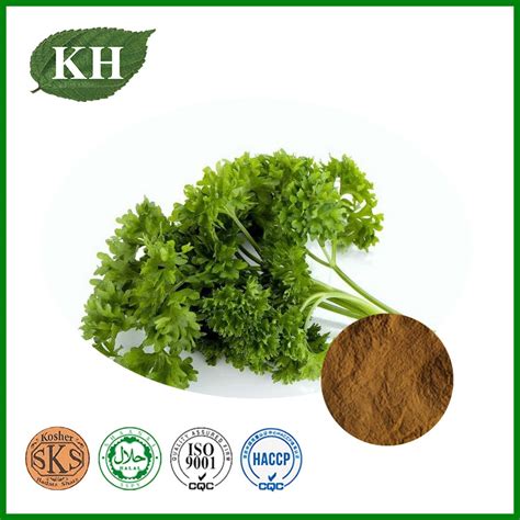 Kosher Halal Certified 100 Natual Parsley Leaf Extract Powder Parsley Extract And Parsley