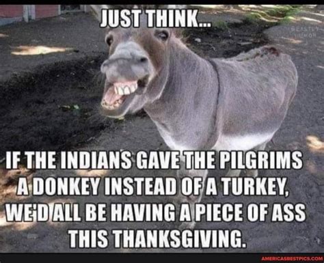 50 Funny Thanksgiving Memes To Make You Laugh Like A Real Turkey Artofit