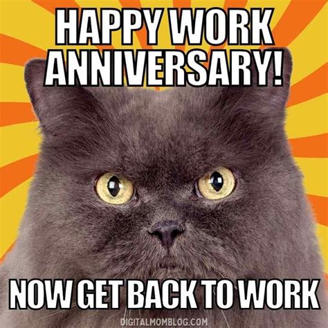 50 Awesome Work Anniversary Memes Work Anniversary Work Anniversary