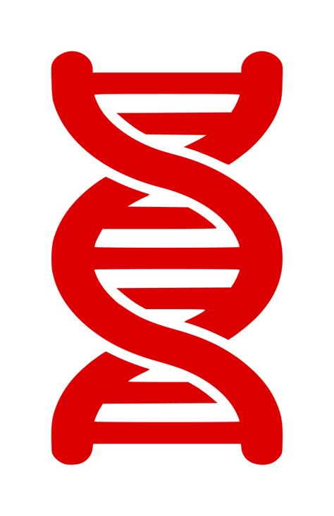 Dna Strand Clip Art 20 Free Cliparts Download Images On Clipground 2024