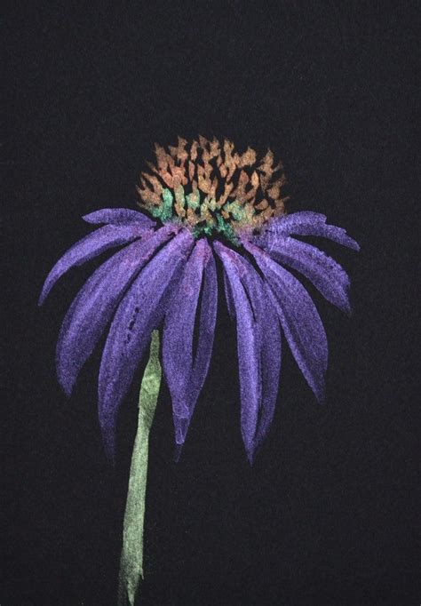 Watercolor Flowers Watercolor Paintings Black Paper Etsy Store Etsy