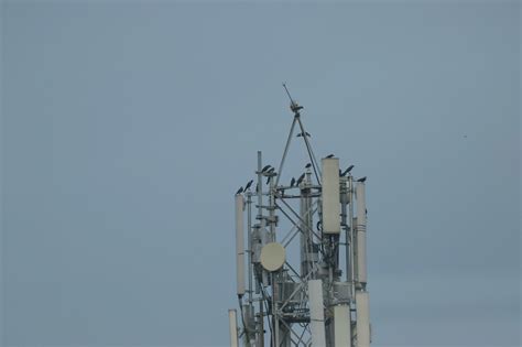 Mtn Launches 5g Network Commercially In Zambia