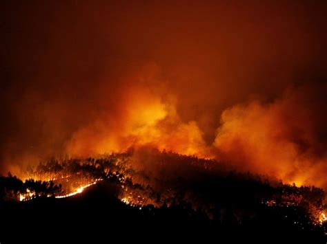 Images From Portugal Show Aftermath Of Deadly Wildfire That Killed 61