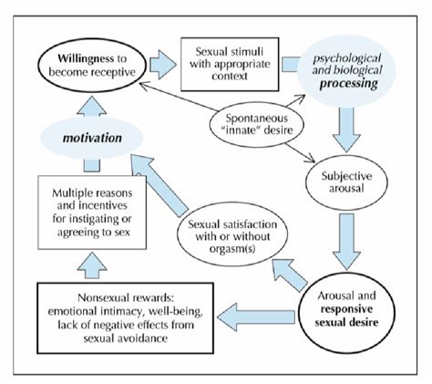 Basson Jamc 10 Mai 2005 172 10 Sex Response Cycle Showing