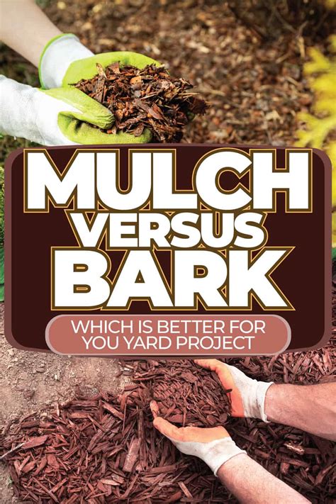Mulch Vs Bark Which Is Better For Your Yard Project