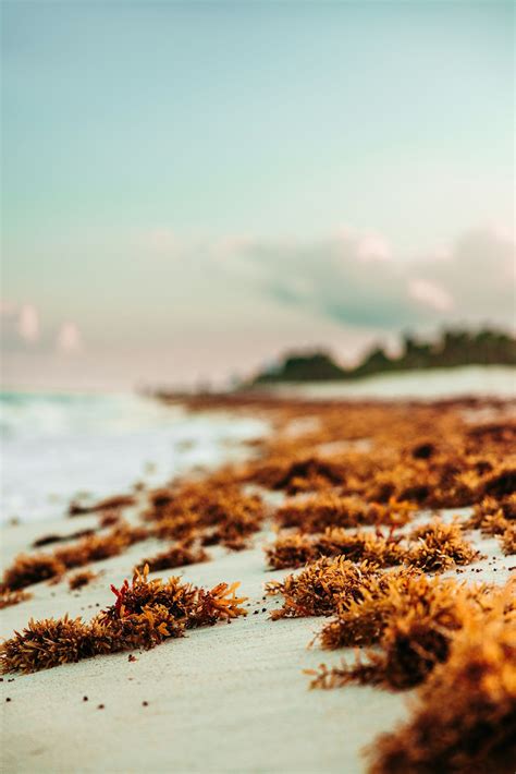 Punta Cana Airport PUJ VIP Fast Track — Punta Cana Airport VIP
