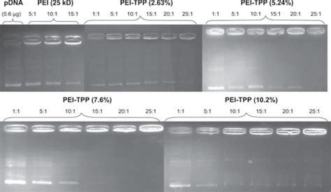 Full Article Cross Linked Polyethyleniminetripolyphosphate