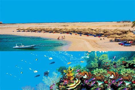 Day Trip To Sharm El Naga Bay From Hurghada Aladdin Travels