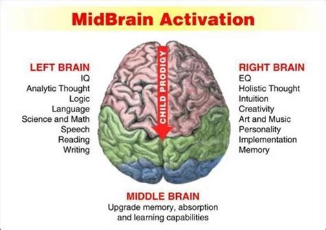 Midbrain Activation Training In India