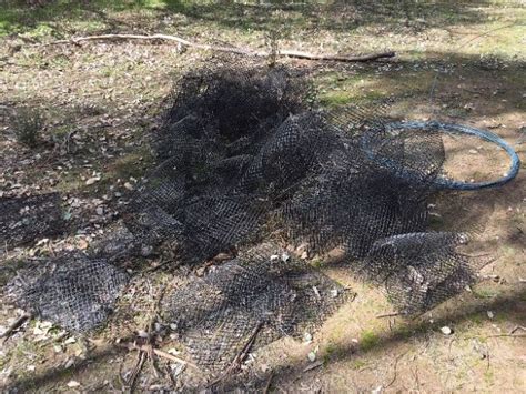 Dannys Guard Worm Brings A Huge Job Down To Size Parklands Albury