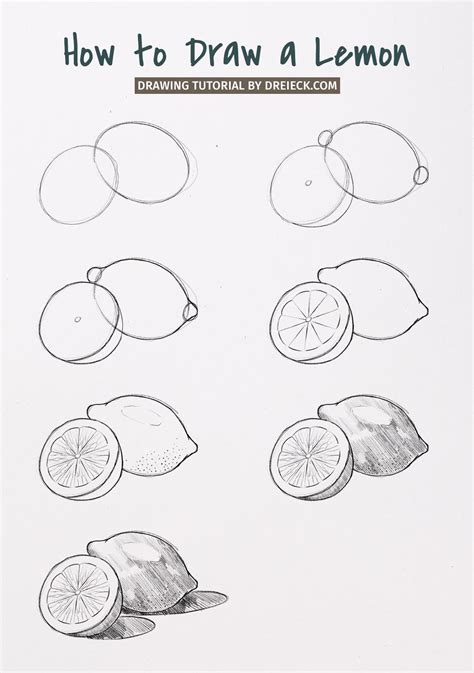 How To Draw A Lemon Easy Step By Step 🍋