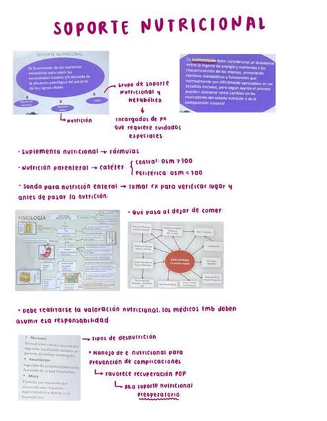 Soporte Nutricional Sof A Vera Mendoza Udocz