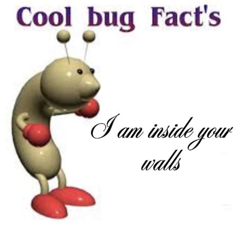 I Am Inside Your Walls Ryub