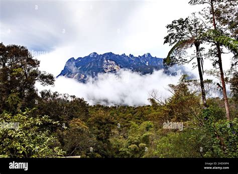 Borneo Natur Hi Res Stock Photography And Images Alamy