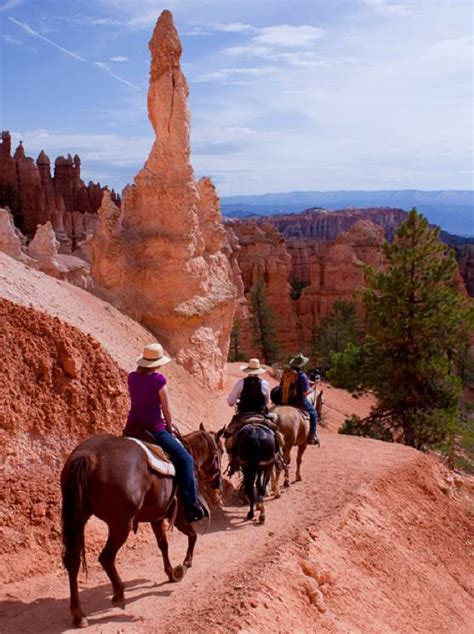 Bryce Canyon Horseback Riding | Bryce Canyon Horseback Tours