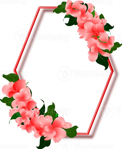 Pink Flowers With Hexagon Frame 45802179 Png