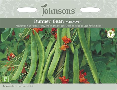 Johnsons Runner Bean Achievement Seeds Hillier