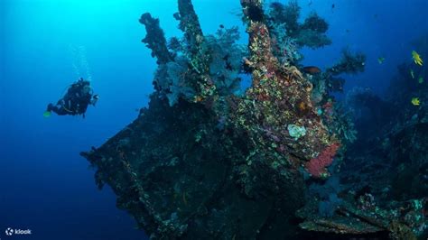 Half-Day Dive Trip with PADI 5 Star Dive Center in Karangasem Bali - Klook