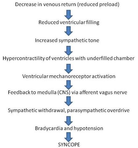 Urgent Care Ward — Mechanism Of Neurocardiogenic Syncope