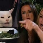 Woman Yells At Cat Mirrored Meme Generator Imgflip