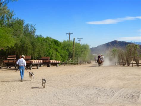 Ride Horses In The Arizona Desert At Tucsons White Stallion Dude Ranch