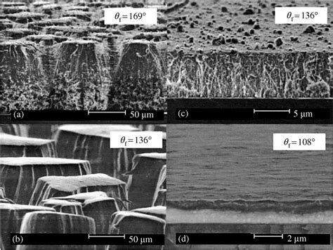 Selected polymer films: (a) and (b) are nascent polymer films produced... | Download Scientific ...