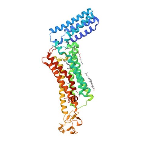 Rcsb Pdb Iiu Crystal Structure Of The Human Thromboxane A Receptor