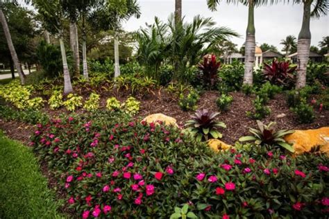 The Ideal Florida Landscape Includes Some Low Maintenance Plants