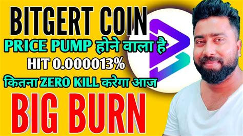 Bitgert Coin Big Burning Bitgert Coin Pump