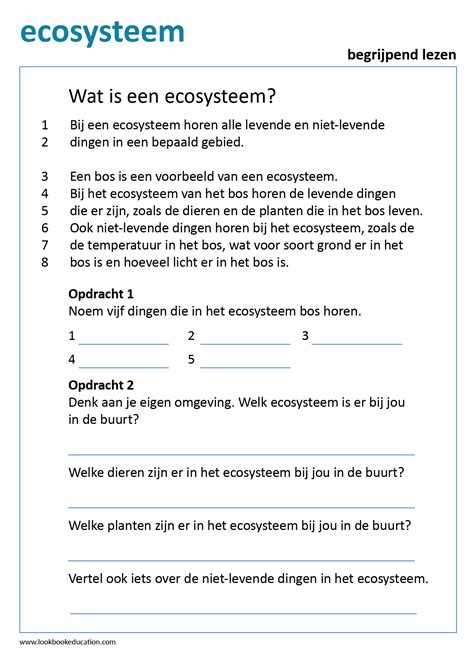 Werkblad Begrijpend Lezen Ecosysteem Lookbook Education Basisschool