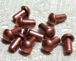 Solid Copper Rivet At Best Price In Thane Maharashtra Csfscrew Gmail