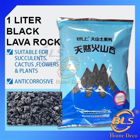 Mm Black Lava Rock Soil For Cactus Succulent Plants Litre Tanah