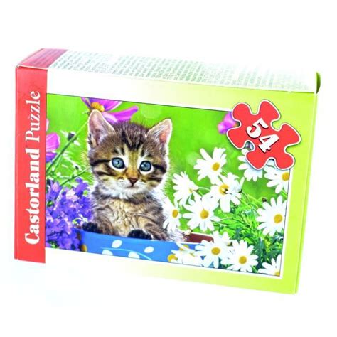 Puzzle Pi Ces Castorland Chaton Au Milieu Des Fleurs Enfant