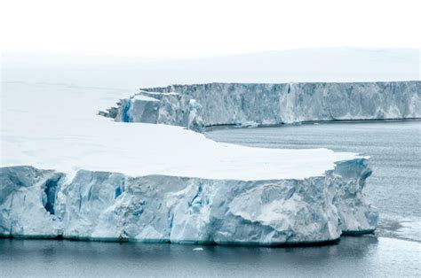 Small Window Of Opportunity Left To Preserve Antarcticas Sleeping