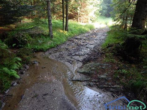 Sveti Trije kralji Ruška koča na Arehu Slika 531410