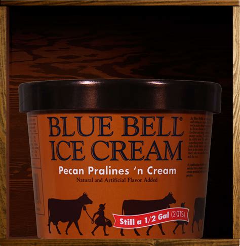 Texas Man Writes Hilarious Yet Thorough Review Of New Blue Bell Ice