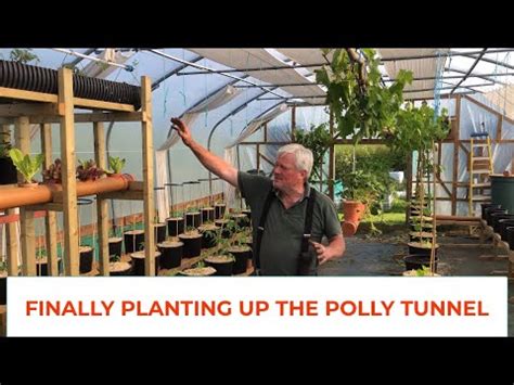 Finally Planting Up The Polly Tunnel Youtube